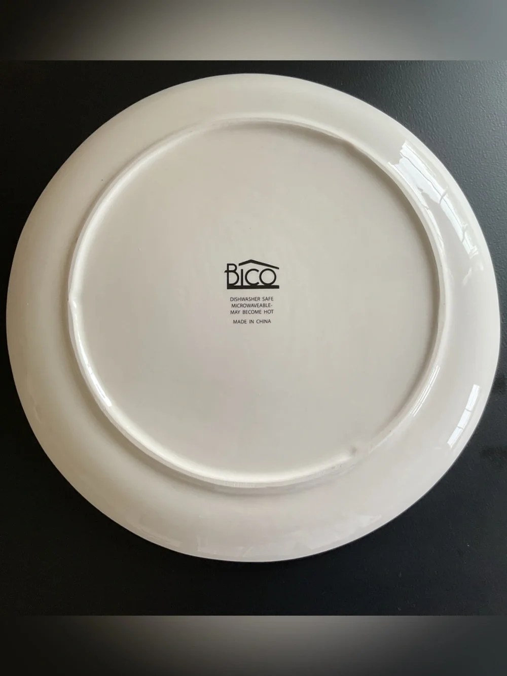 Bico Pumpkins & Gourd Autumn Harvest Ceramic 11” Dinner Plates, Set of 4